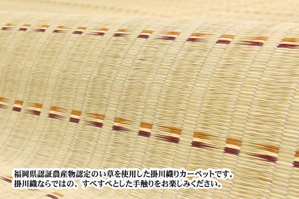 福岡県認証農産物 掛川織 い草ラグカーペット 「美麗ECO」通信畳販売
